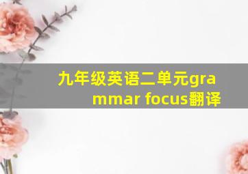 九年级英语二单元grammar focus翻译